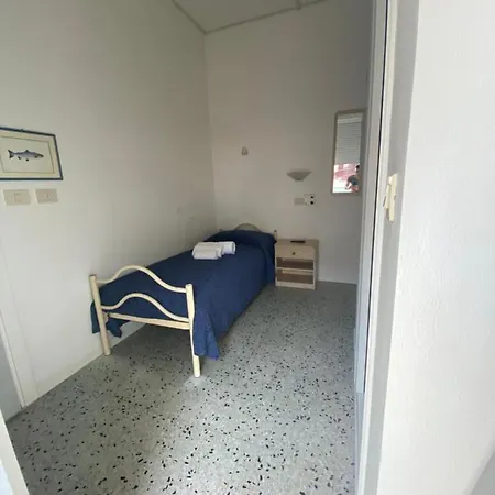 Lucciola Cattolica